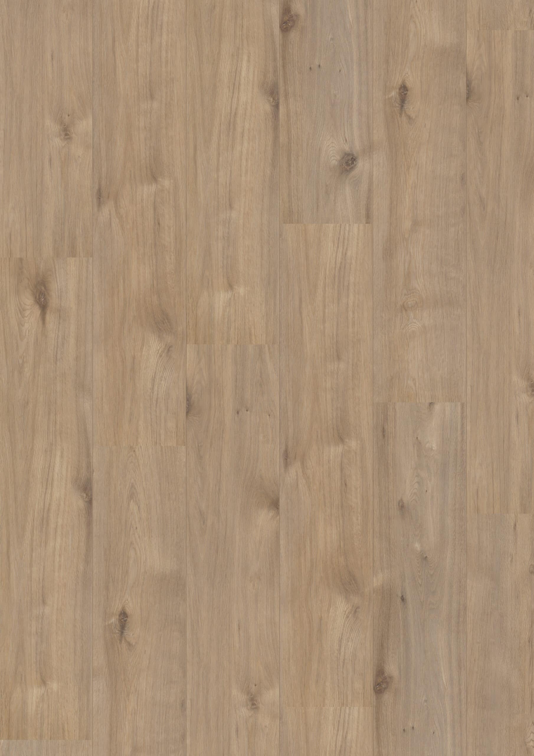 Hoomline Royal XL Alpe d'heuz 969 Hoomline - Royal XL V2 Alpe D'Huez 969 - Afbeelding 1