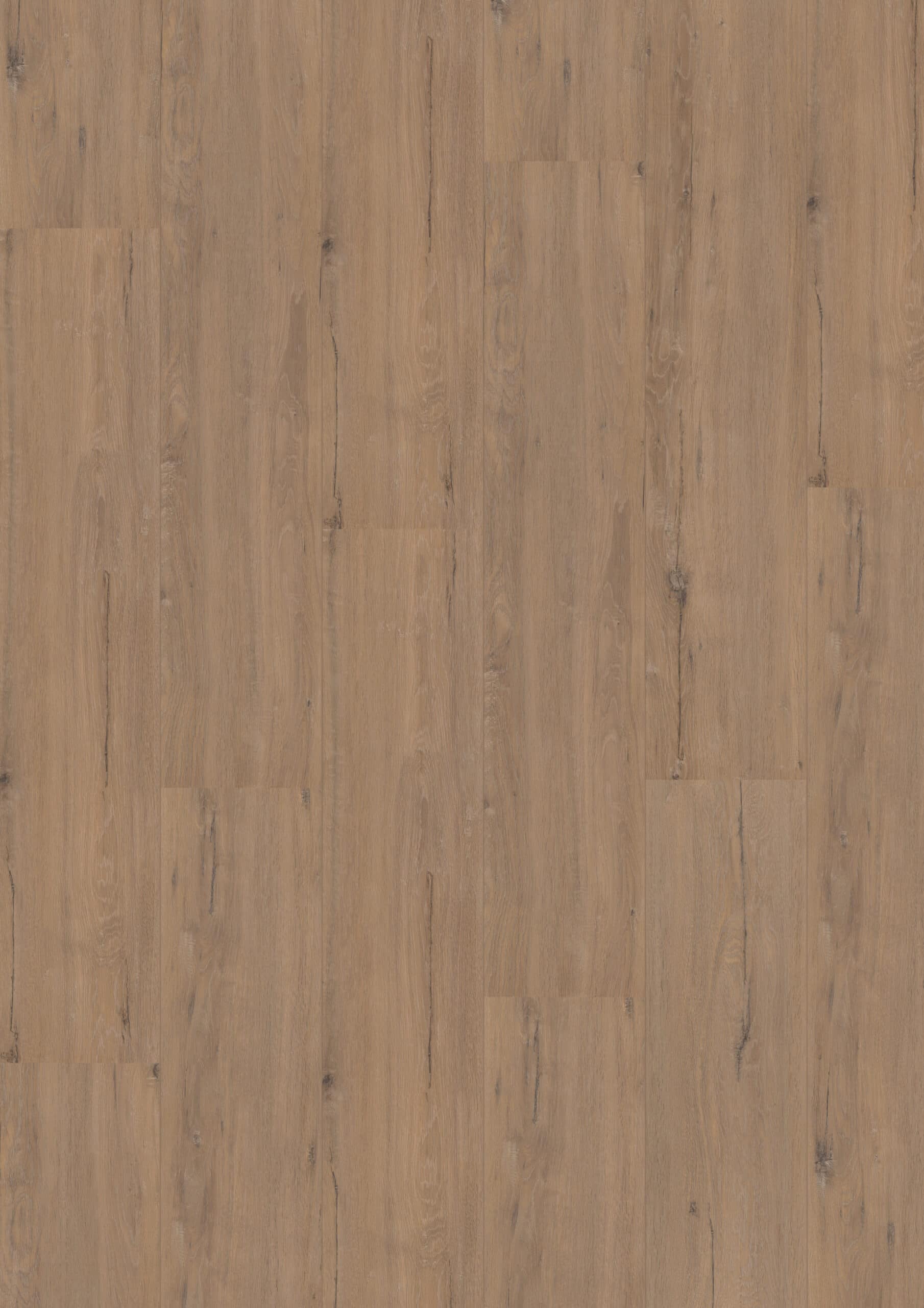 Hoomline Royal XL Karwendel 902 Hoomline - Royal XL V2 Karwendel 902 - Afbeelding 1