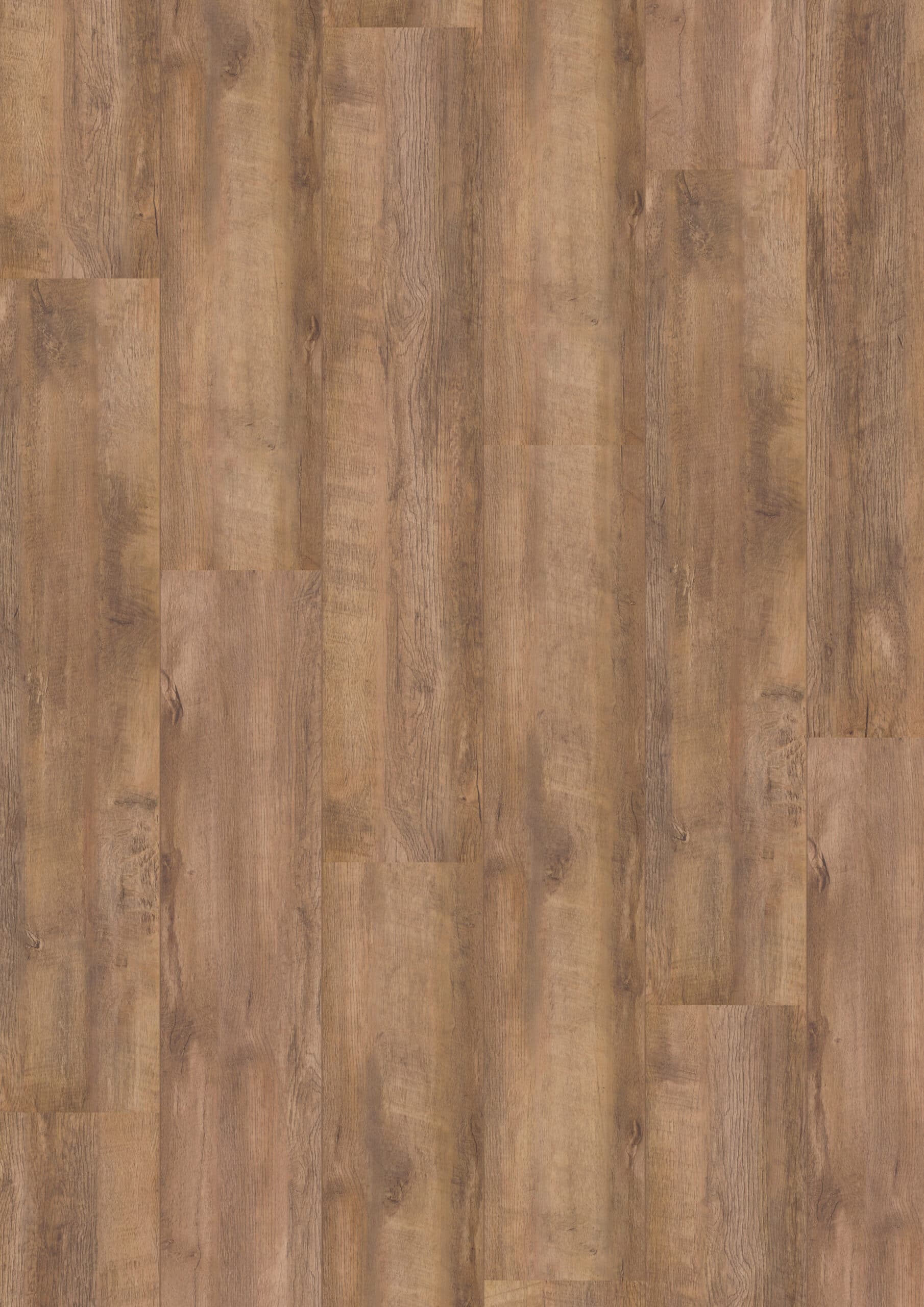 Hoomline Royal XL Monte Rosa 328 Hoomline - Royal XL V2 Monte Rosa 328 - Afbeelding 1