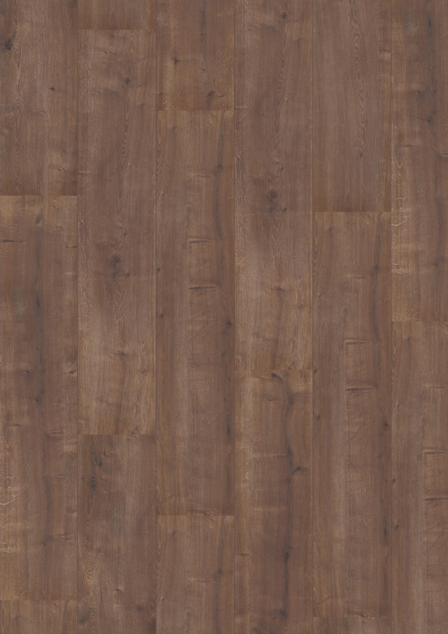 Hoomline Royal XL Rocky Mountain 959 Hoomline - Royal XL V2 Rocky Mountain 959 - Afbeelding 1