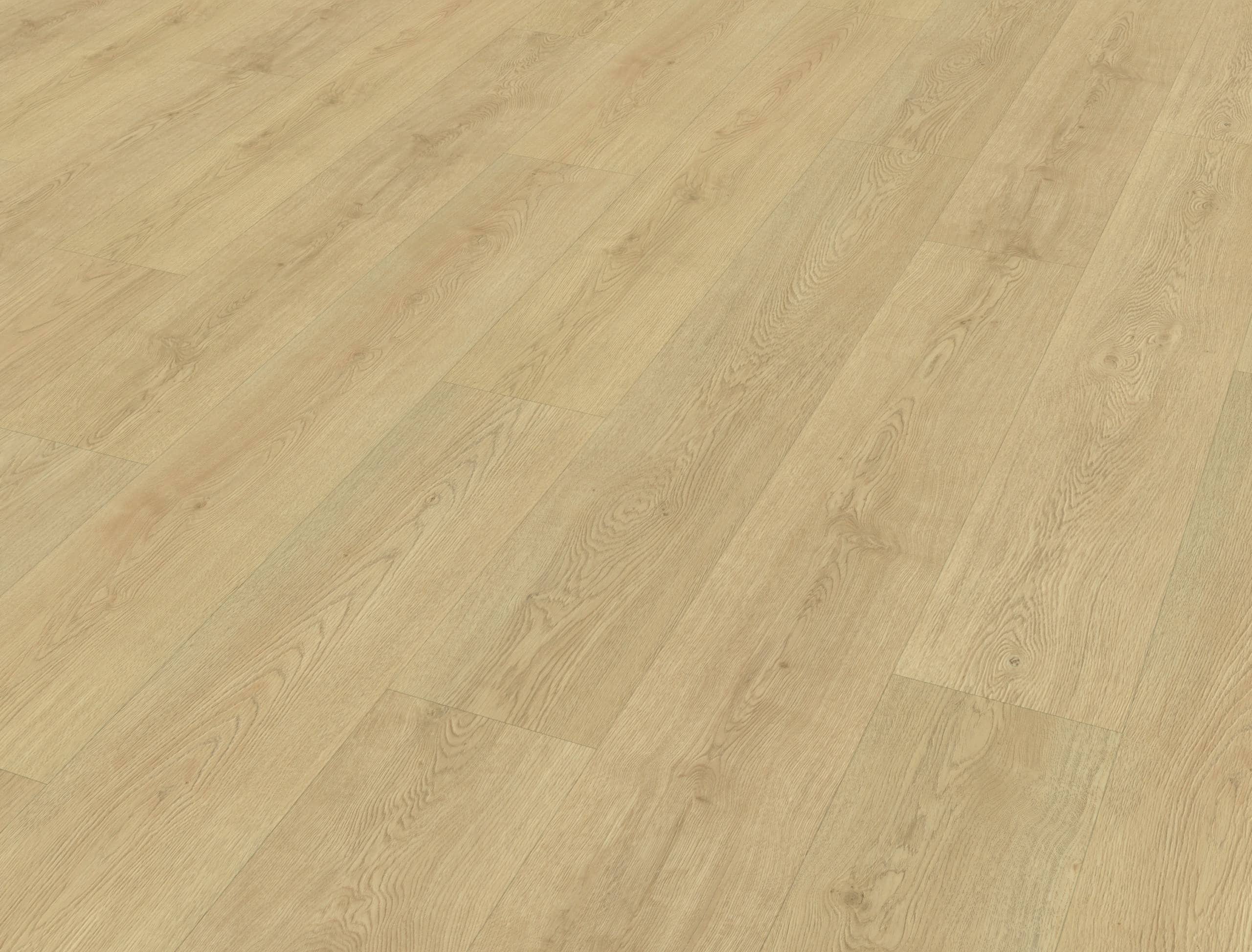 Monastro_920_Rigid_Click_perspective_view Belakos - Monastro 920 | Rigid Click - Afbeelding 1