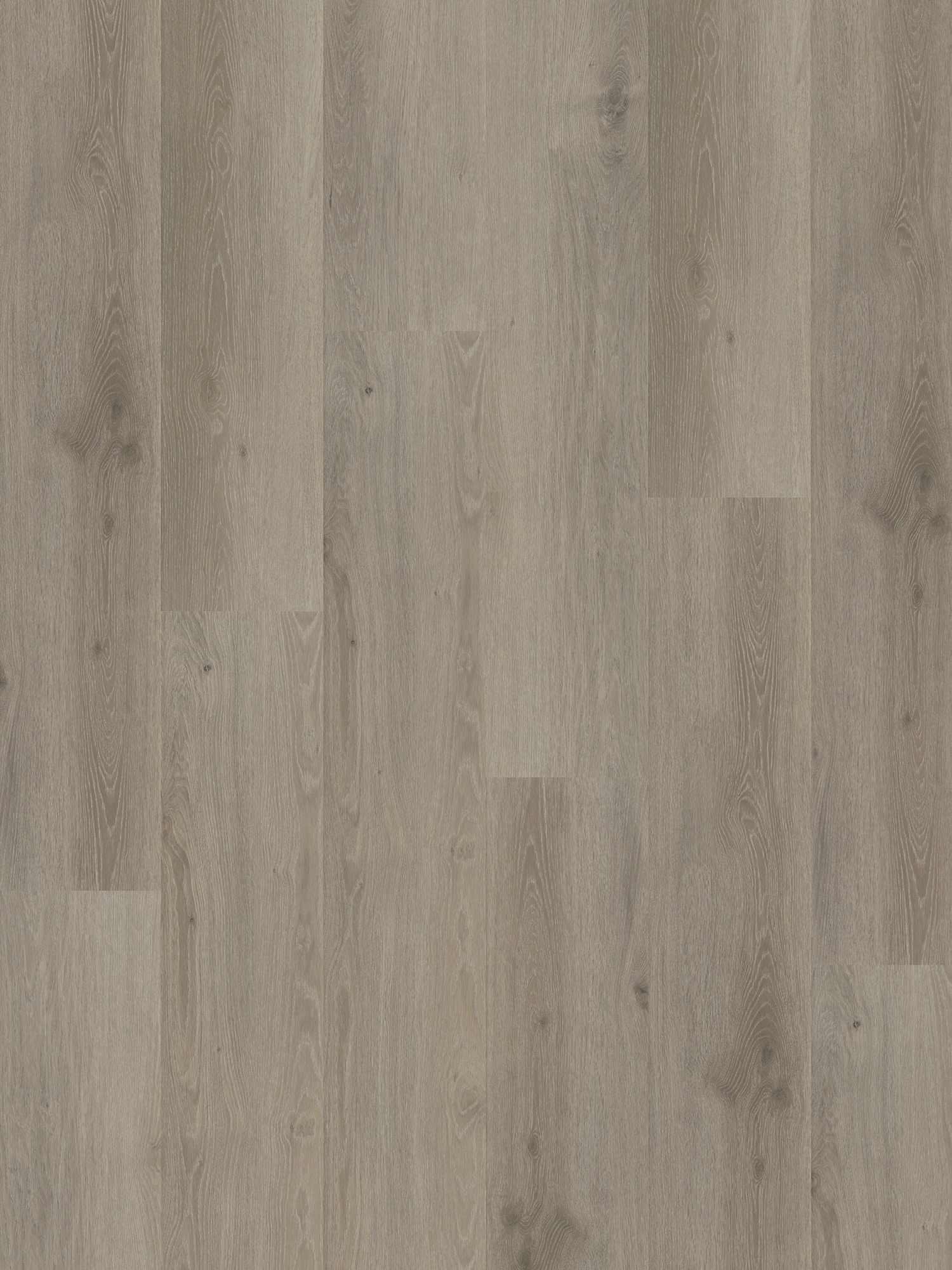 Rustico_10_Frontal_Zoom_2021 Belakos - Rustico 10 - Afbeelding 1