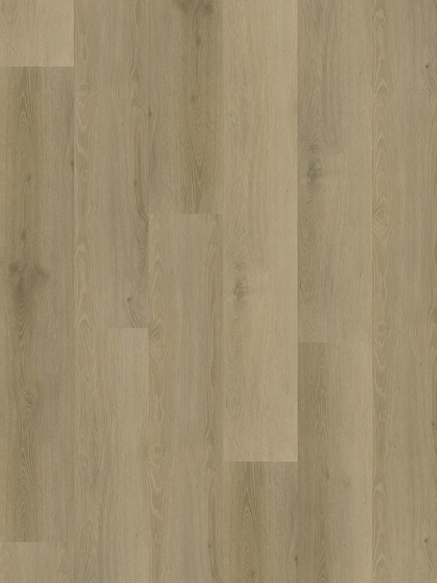 Rustico_20_Frontal_Zoom_2021 Belakos - Rustico 20 - Afbeelding 1