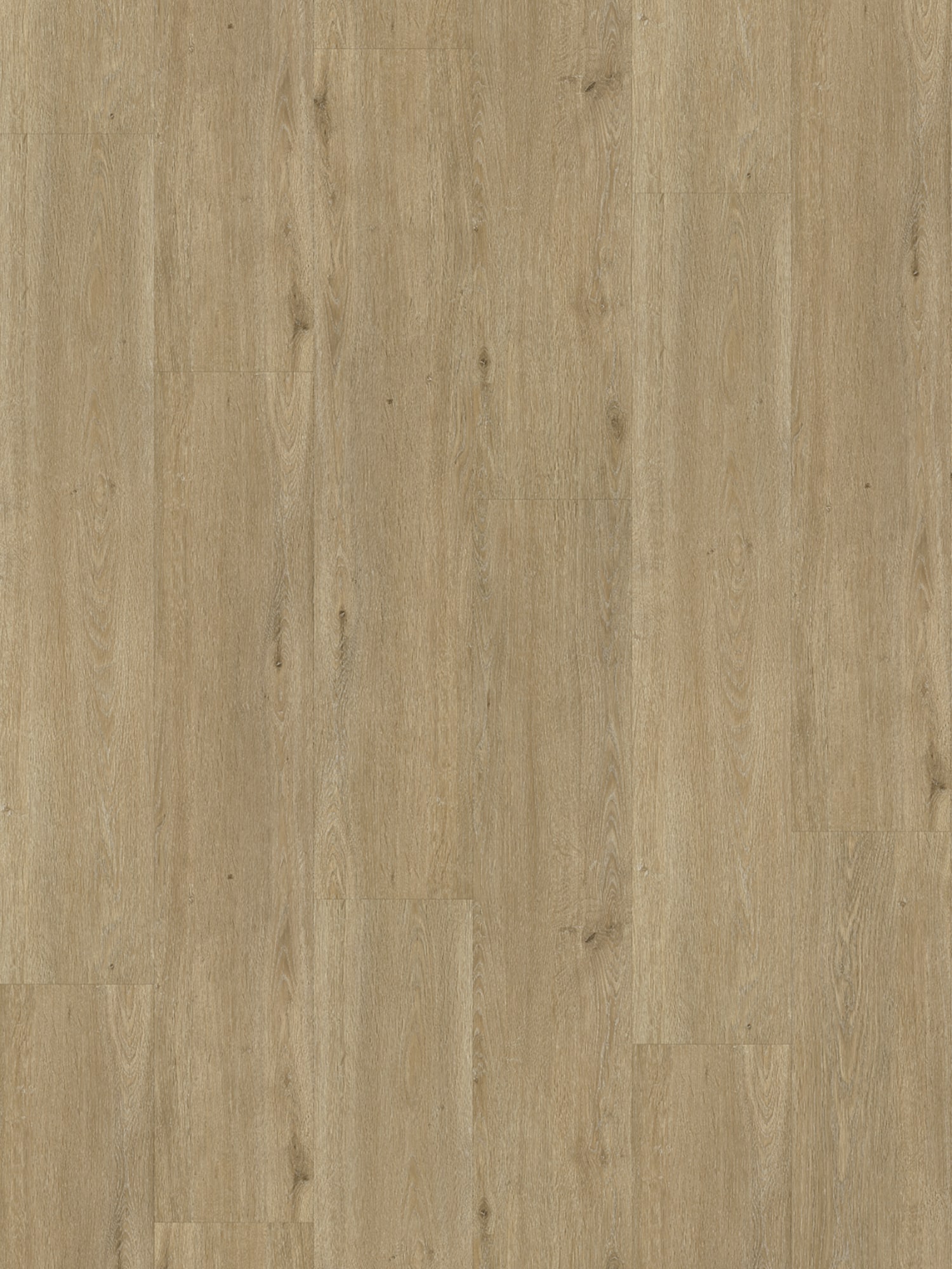 Rustico_50_Frontal_Zoom_2021 Belakos - Rustico 50 - Afbeelding 1