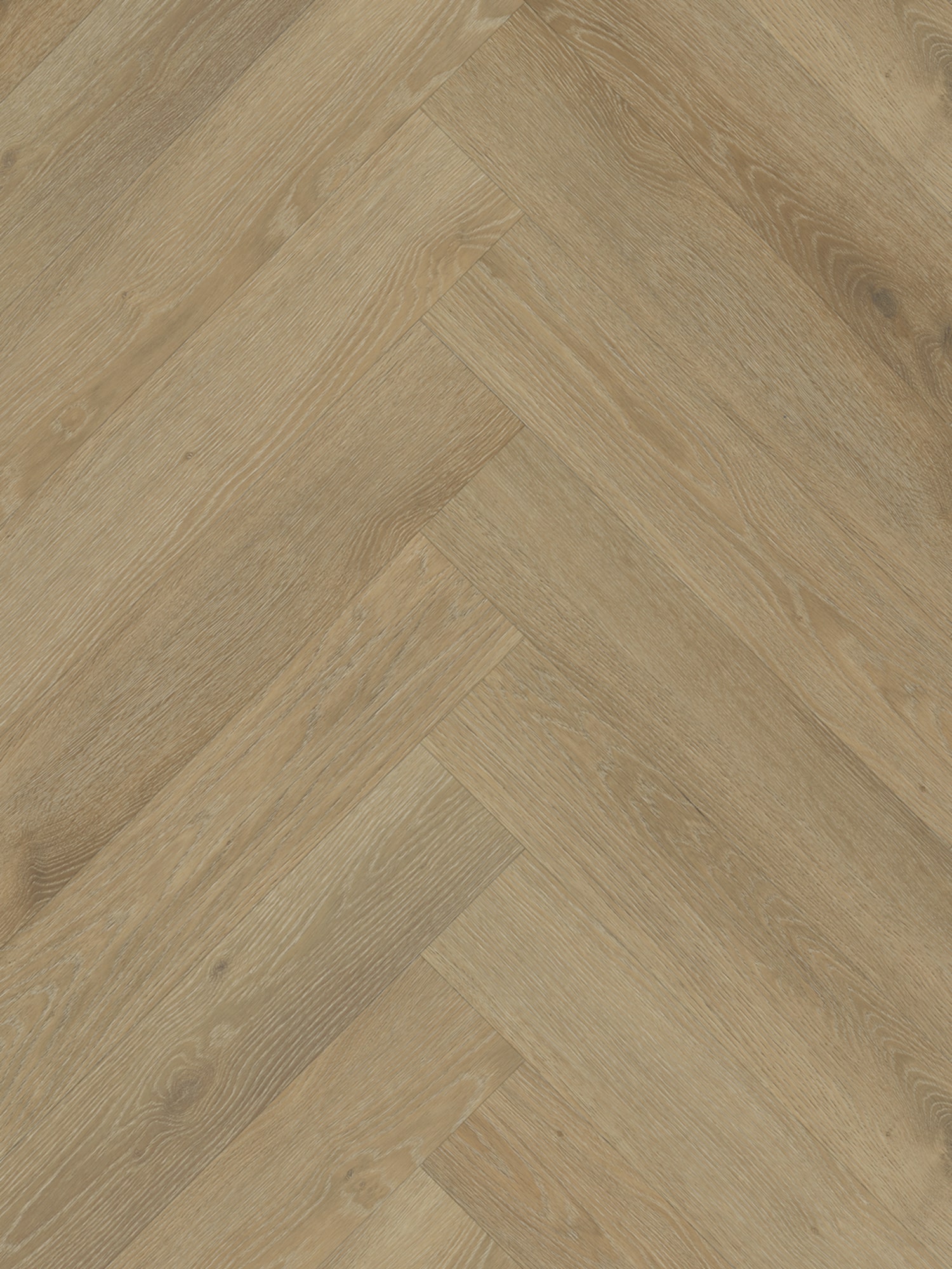 Rustico_visgraat_20_Frontal_Zoom Belakos - Rustico visgraat 20 - Afbeelding 1