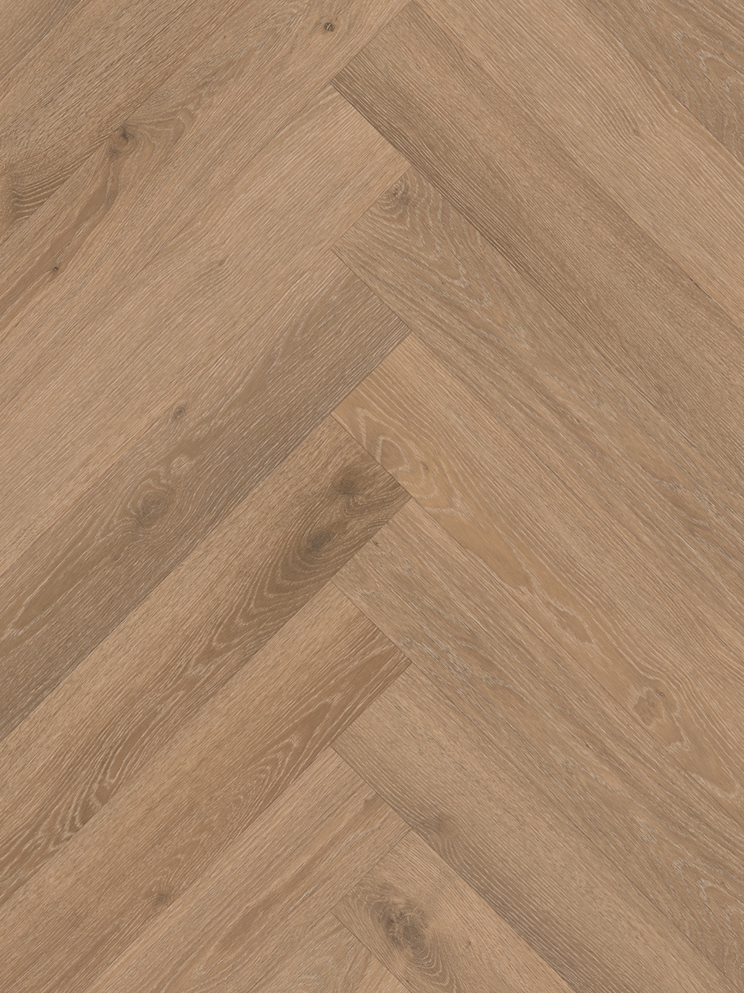 Rustico_visgraat_30_Frontal_Zoom Belakos - Rustico visgraat 30 - Afbeelding 1