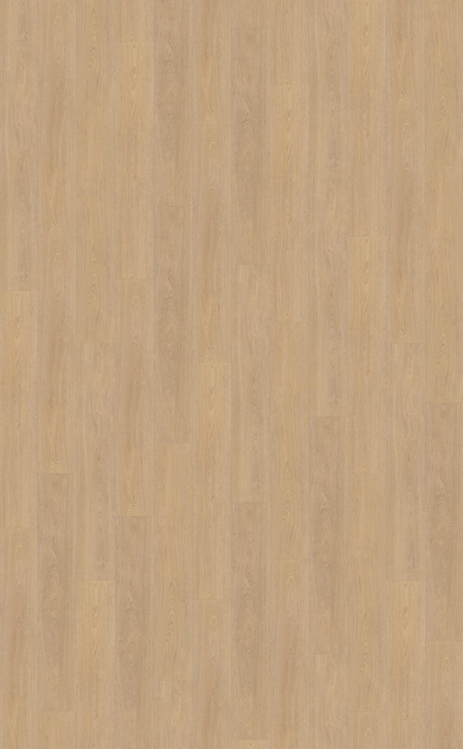 Terreno_610_topview Belakos - Terreno 610 - Afbeelding 1