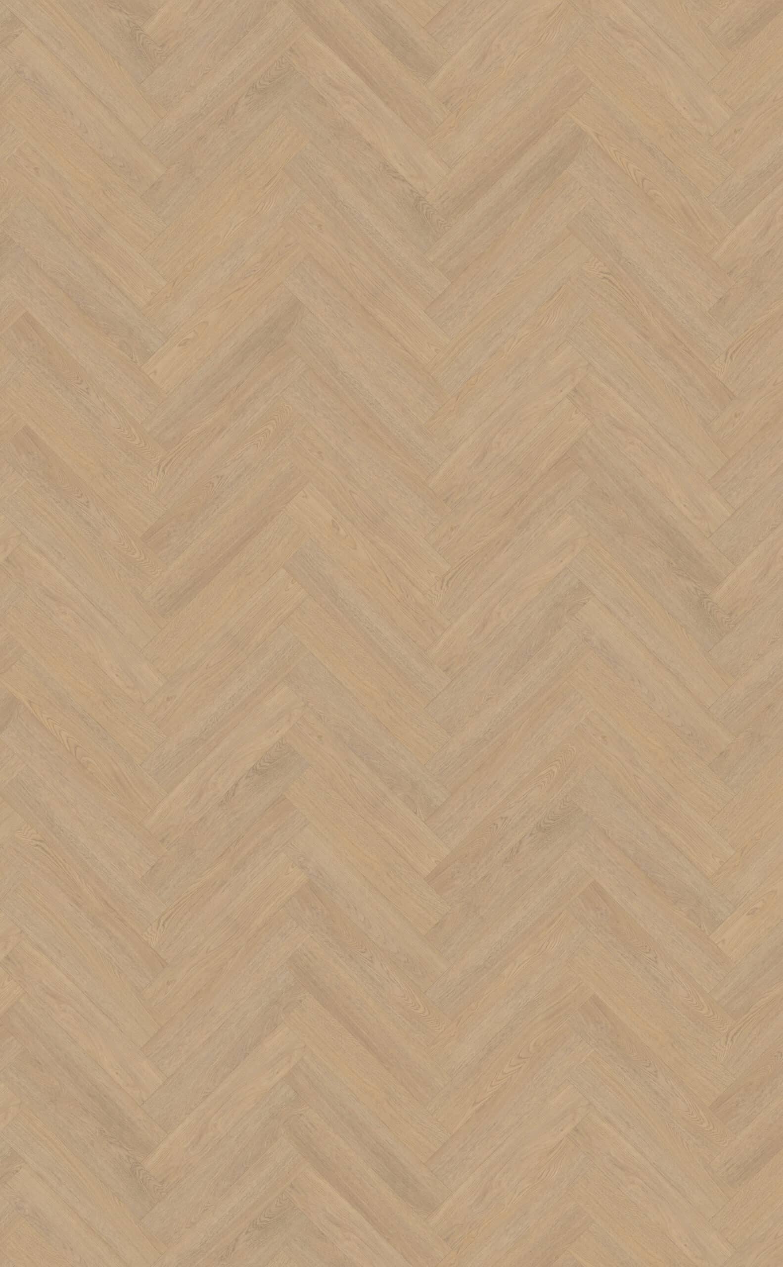 Terreno_visgraat_XL_61_topview Belakos - Terreno visgraat XL 61 - Afbeelding 1