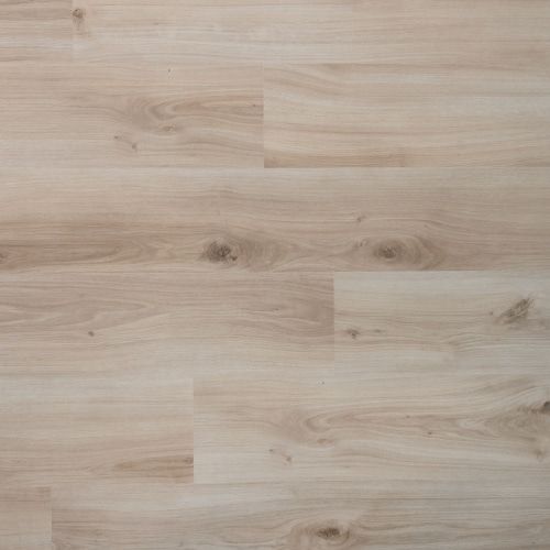 d_04949_1 Douwes Dekker - Spontaan Plank Gember - Afbeelding 1