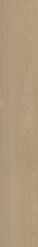 Belakos - Futuro 530 Rigid Click - Afbeelding 4