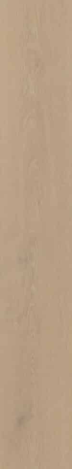 Belakos - Cervo 200 - Afbeelding 4