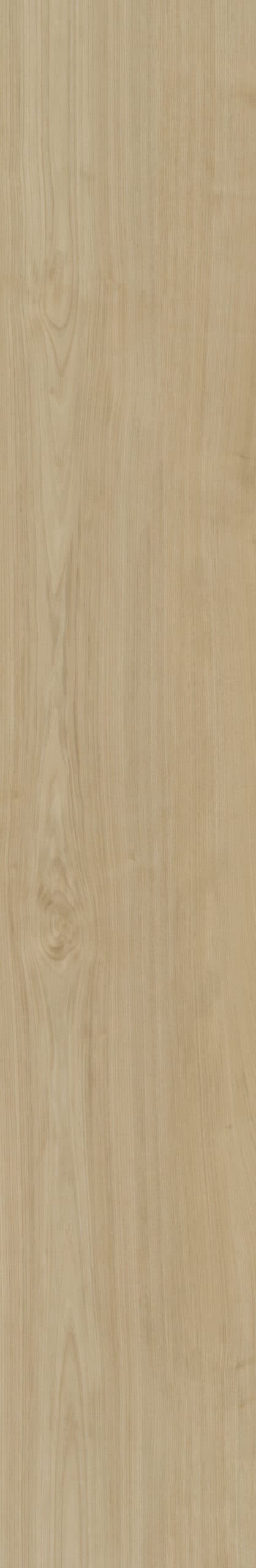 Portico_550_01 Belakos - Portico 550 - Afbeelding 1