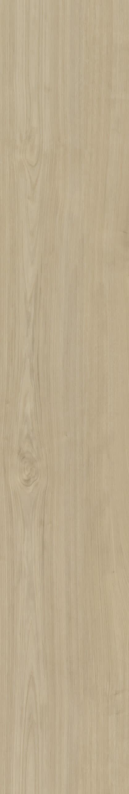 Portico_570_01 Belakos - Portico 570 - Afbeelding 1